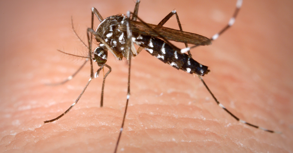 Combate a dengue em Cariré
