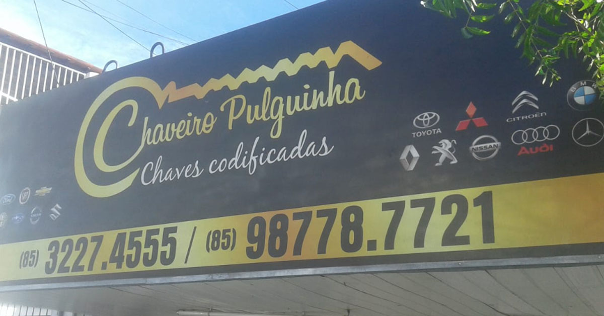 Chaveiro Pulguinha