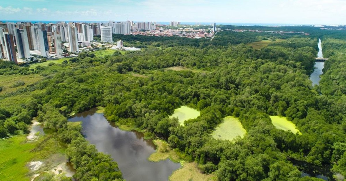 Parque do Cocó recebe área ampliada equivalente a 10 campos de futebol